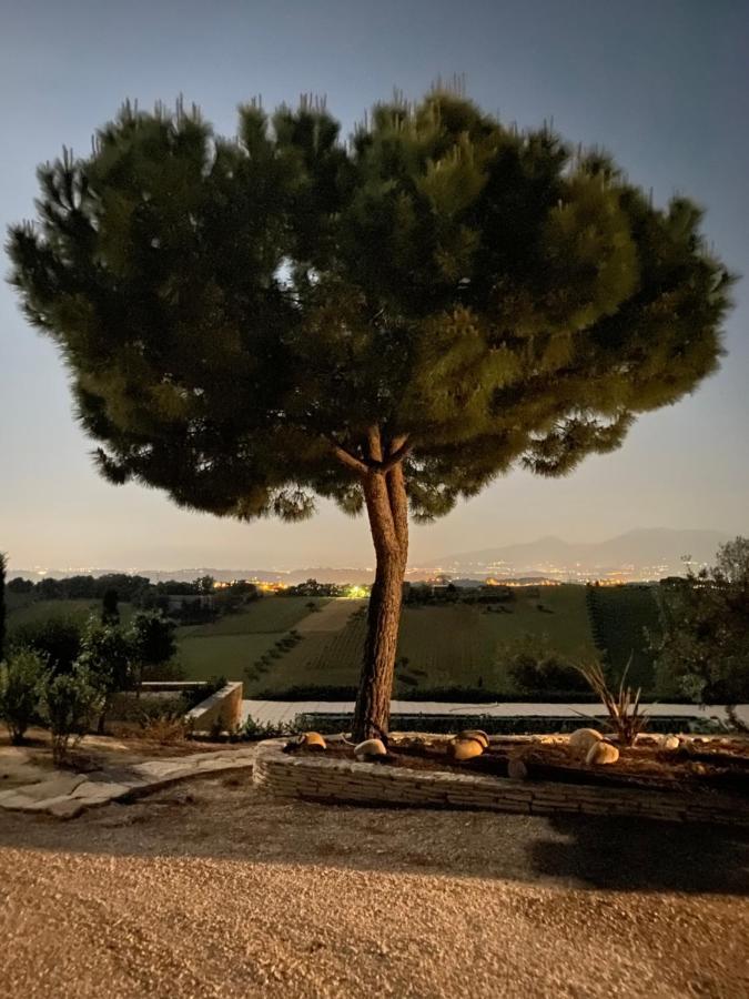أكوافيفا بيسينا B&B Santa Caterina المظهر الخارجي الصورة